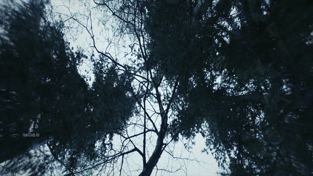 Bambi The Reckoning 2025 Original 1080p HD.mp4