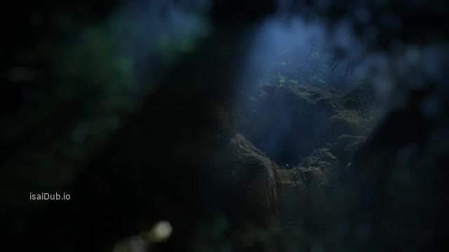 The Killer Downstairs 2019 Original 360p HD.mp4