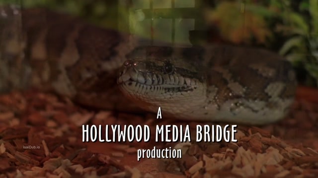 Anacondas Trail of Blood 2009 Original 1080p HD.mp4