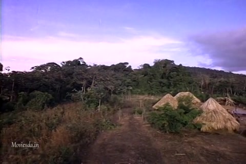Gold Of The Amazon Women (1979) Sample (640x360).mp4