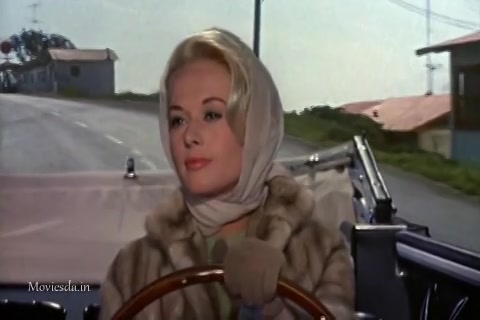The Birds (1963) Sample (480x320).mp4