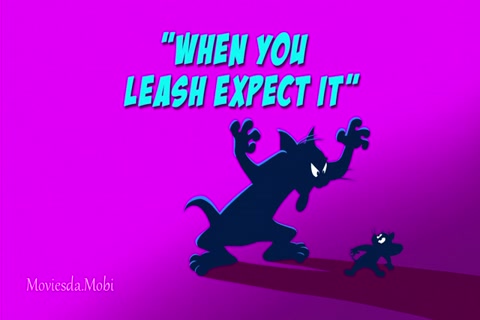 Tom and Jerry Season 03 (Epi 02 When You Leash Expect It) HD.mp4