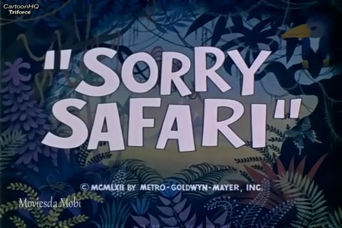 Sorry Safari HD.mp4