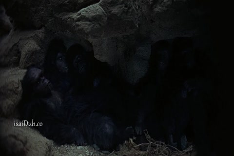 2001 A Space Odyssey HD Sample.mp4