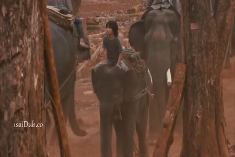 My Lucky Elephant 2013 HD Sample.mp4