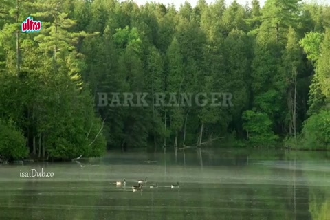 Bark Ranger 2015 HD.mp4