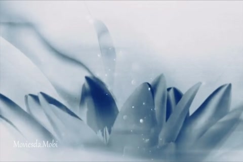 The Untamed Season 1 Episode 28 HD.mp4